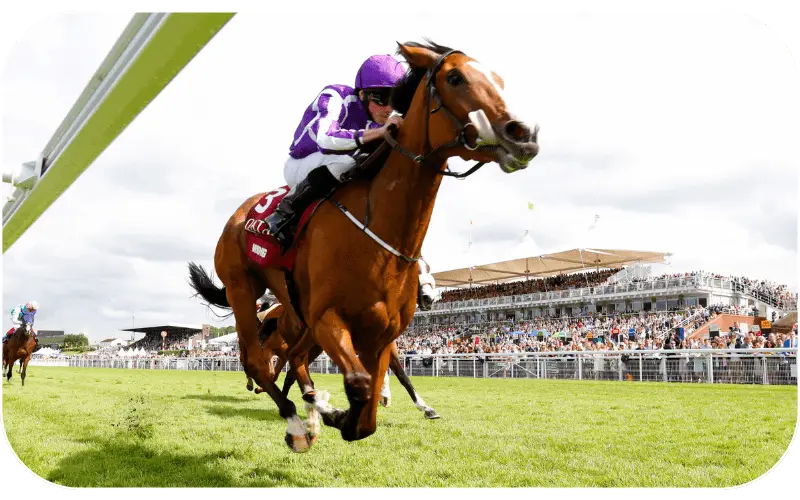 Jockey riding a racehorse to the finish line